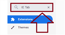 IE Tab