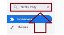 Netflix Party 